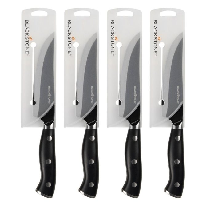 4 Piece Steak Knife Set